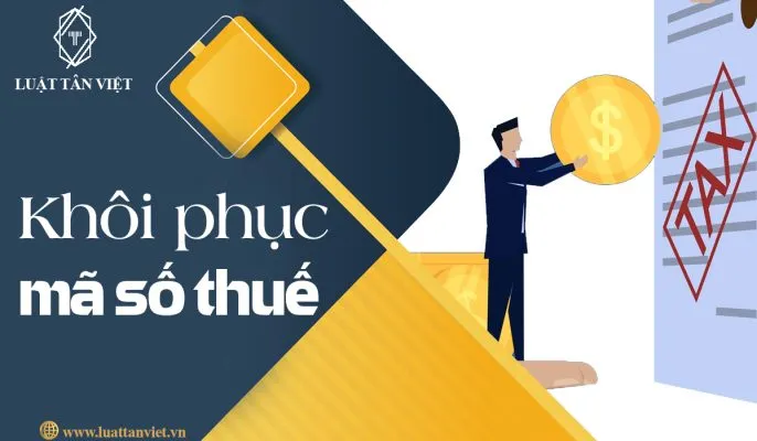 Sản phẩm luattanviet12 686x400 — Luật Tân Việt - Công Ty TNHH Luật Tân Việt — MST 0316498712