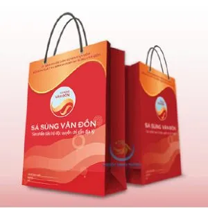Sản phẩm in tui giay 4 300x300 — Công Ty TNHH TM - DV - SX Phước Minh Thành — MST 0316521640