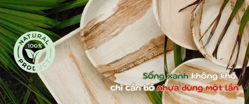 Sản phẩm Slide 3 1 — Công Ty TNHH Arecaviet — MST 0316524419
