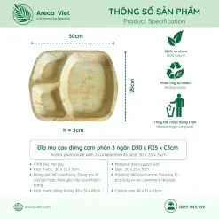 Sản phẩm Dia mo cau dung com phan 3 ngan D30 x R25 x C3cm ArecaViet com 247x247 — Công Ty TNHH Arecaviet — MST 0316524419