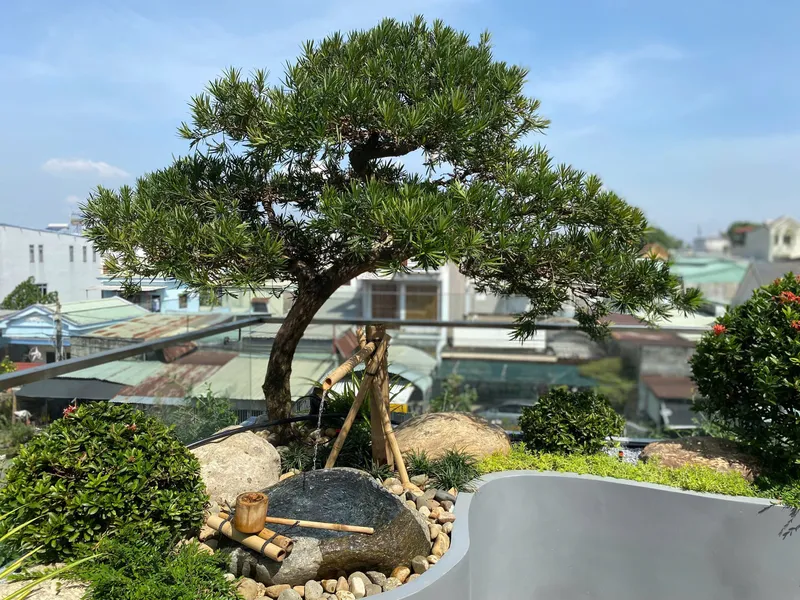 Sản phẩm Tsukubai dep scaled — Hoàng Nguyên Landscape - Công Ty TNHH TM&DV Cây Xanh Hoàng Nguyên — MST 0316526134