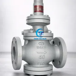 Sản phẩm small_cach lua chon va lap dat van giam ap hoi nong mat bich dn40 dung ky thuat tiet kiem chi phi — Công Ty TNHH Thương Mại Và Kỹ Thuật Thanh Tân — MST 0316528212