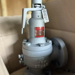 Sản phẩm small_van an toan hoi nong dn25 yooyoun han quoc — Công Ty TNHH Thương Mại Và Kỹ Thuật Thanh Tân — MST 0316528212
