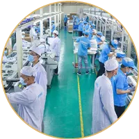 Sản phẩm nhan luc 1 — Lông Mi Cyber - Công Ty TNHH Quốc Tế Cyber — MST 0316538404