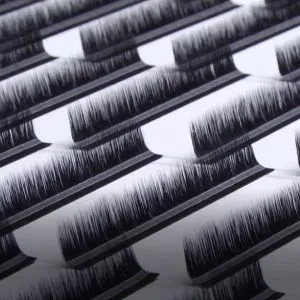 Sản phẩm Camellia Style Eyelashes 300x300 — Lông Mi Cyber - Công Ty TNHH Quốc Tế Cyber — MST 0316538404
