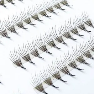 Sản phẩm Premade Fan Camellia Eyelashes 300x300 — Lông Mi Cyber - Công Ty TNHH Quốc Tế Cyber — MST 0316538404