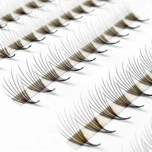Sản phẩm Premade Fan Camellia Eyelashes high quality 300x300 — Lông Mi Cyber - Công Ty TNHH Quốc Tế Cyber — MST 0316538404