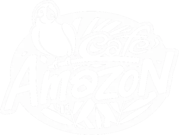 Sản phẩm amazon — Công Ty TNHH VERA CERAMICS — MST 0316538757