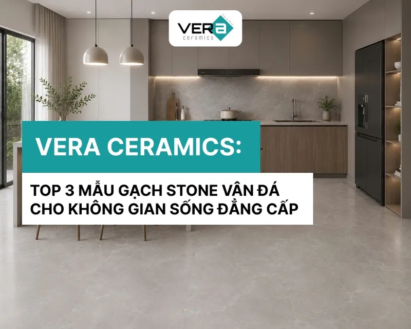 Sản phẩm gach stone van da — Công Ty TNHH VERA CERAMICS — MST 0316538757