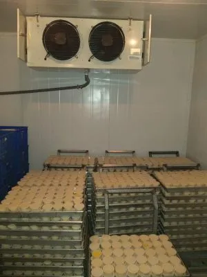 Sản phẩm a6 300x400 — Kho Lạnh Công Nghiệp Ngọc Nhi - Công Ty TNHH Thương Mại Dịch Vụ Điện Lạnh Công
Nghiệp Ngọc Nhi — MST 0316546363