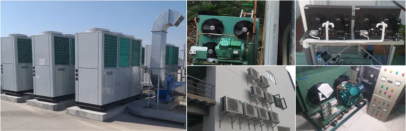 Sản phẩm b4 — Kho Lạnh Công Nghiệp Ngọc Nhi - Công Ty TNHH Thương Mại Dịch Vụ Điện Lạnh Công
Nghiệp Ngọc Nhi — MST 0316546363