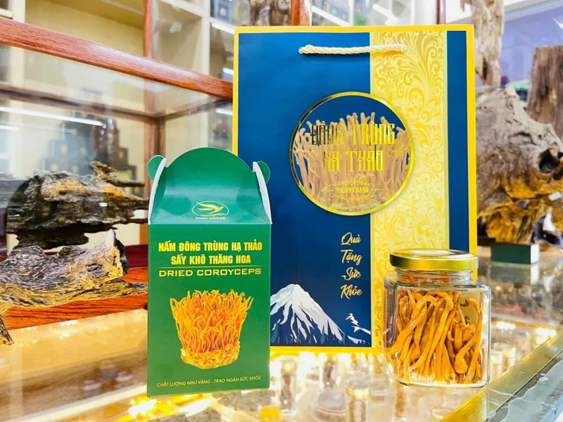 Sản phẩm dt10 — Yến Sào Ngọc Khánh - Công Ty Cổ Phần Yến Sào Ngọc Khánh — MST 0316552014