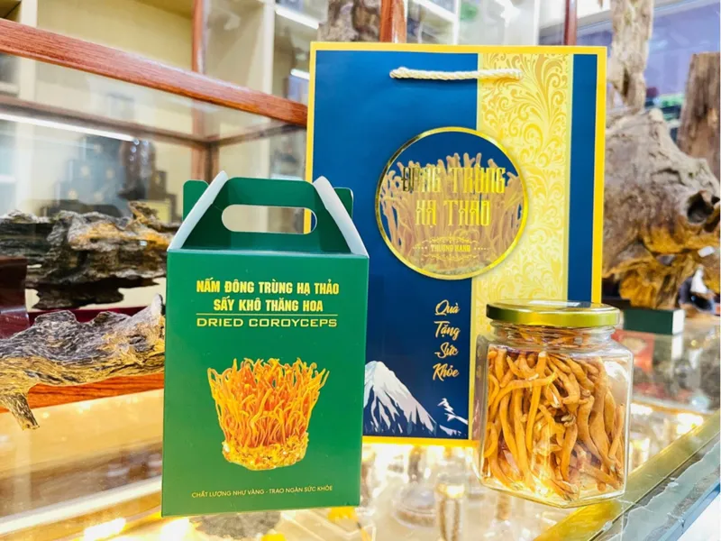 Sản phẩm dt20 — Yến Sào Ngọc Khánh - Công Ty Cổ Phần Yến Sào Ngọc Khánh — MST 0316552014