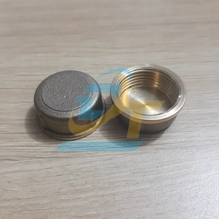Sản phẩm nap bit ren trong 27 dong thau vietnam 1624933047 — Công Ty TNHH Thương Mại Dịch Vụ Đạt Tâm — MST 0316566289