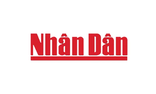 Sản phẩm 6 — Công Ty TNHH Thương Mại Dịch Vụ Đặng Đình Hải — MST 0316587881
