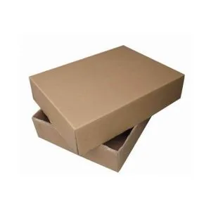 Sản phẩm thung carton 5 lop day nap 300x300 — Công Ty TNHH Thương Mại Dịch Vụ Đặng Đình Hải — MST 0316587881