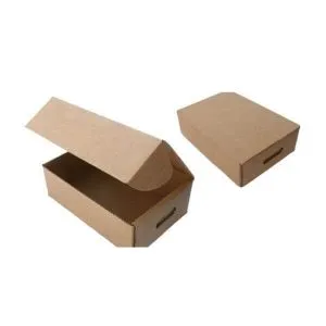 Sản phẩm thung carton 5 lop nap cai 300x300 — Công Ty TNHH Thương Mại Dịch Vụ Đặng Đình Hải — MST 0316587881