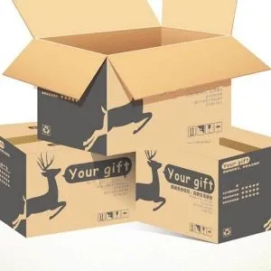 Sản phẩm thung carton in 300x300 — Công Ty TNHH Thương Mại Dịch Vụ Đặng Đình Hải — MST 0316587881