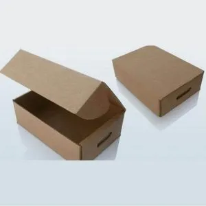 Sản phẩm thung carton nap cai 3 lop 300x300 — Công Ty TNHH Thương Mại Dịch Vụ Đặng Đình Hải — MST 0316587881