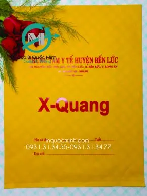 Sản phẩm tui hot xoai hd 2 290x387 — In Ấn Bao Bì Quốc Minh - Công Ty TNHH SX In Ấn Bao Bì Quốc Minh — MST 0316609535