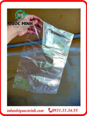 Sản phẩm hinh pp kieng mong 290x387 — In Ấn Bao Bì Quốc Minh - Công Ty TNHH SX In Ấn Bao Bì Quốc Minh — MST 0316609535
