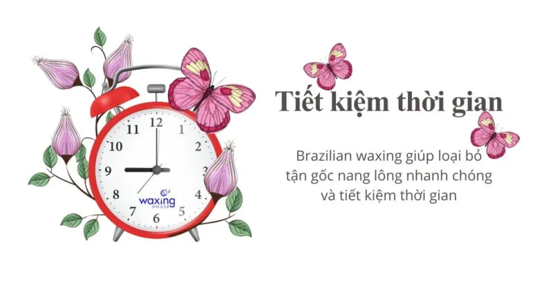 Sản phẩm brazilian waxing tiet kiem thoi gian 800x420 — Công ty TNHH Waxing House — MST 0316611012