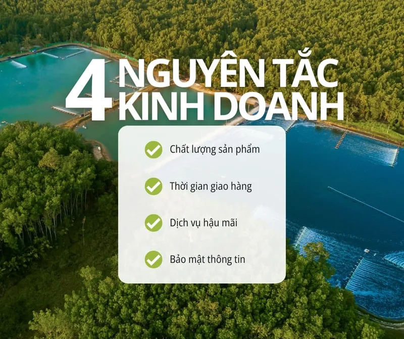 Sản phẩm 4 Nguyen Tac Kinh Doanh — Công Ty TNHH Vinasharp — MST 0316619928