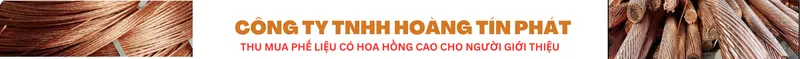 Văn phòng Thu Mua Phế Liệu Hoàng Tín Phát - Công Ty TNHH Thu Mua Phế Liệu Hoàng Tín Phát #1 — MST 0316624156