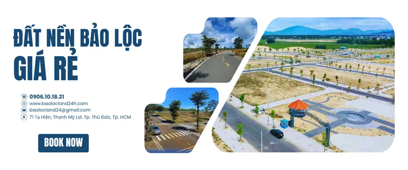 Sản phẩm dất nền bảo lộc giá rẻ 1_1748072319 — Công Ty TNHH Đầu Tư Nhà bảo Lộc — MST 0316645170