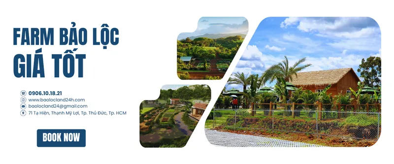 Sản phẩm farm bảo lộc giá tốt 1_1748189402_ — Công Ty TNHH Đầu Tư Nhà bảo Lộc — MST 0316645170