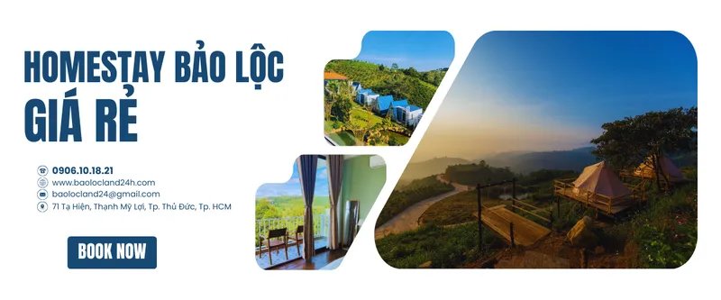 Sản phẩm homestay bảo lộc giá rẻ 1_1748190772_ — Công Ty TNHH Đầu Tư Nhà bảo Lộc — MST 0316645170
