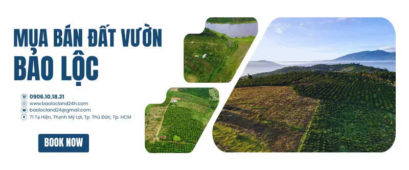 Sản phẩm mua bán dất vườn bảo lộc 1_1748073027_ — Công Ty TNHH Đầu Tư Nhà bảo Lộc — MST 0316645170