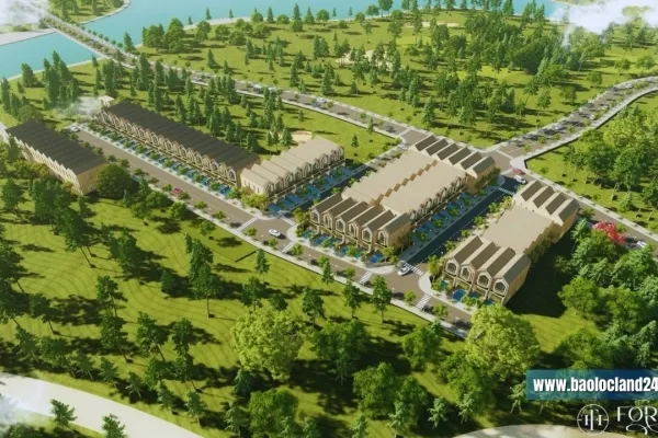 Sản phẩm forest hill_1754529033 — Công Ty TNHH Đầu Tư Nhà bảo Lộc — MST 0316645170