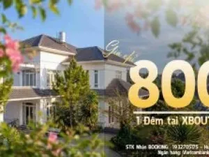 Sản phẩm thumbs_7c522c226793e9cdb082 1_1775009190 — Công Ty TNHH Đầu Tư Nhà bảo Lộc — MST 0316645170