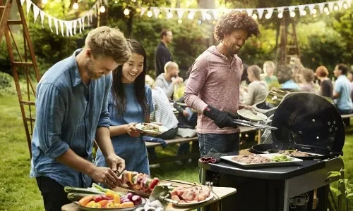 Sản phẩm bbq với pharma village_1691546491_ — Công Ty TNHH Đầu Tư Nhà bảo Lộc — MST 0316645170