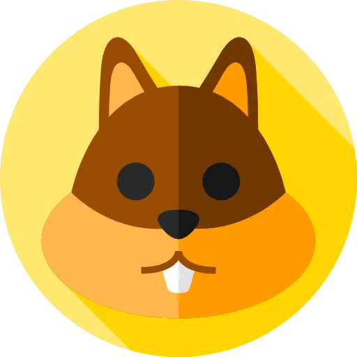 Sản phẩm squirrel 1 — Công Ty TNHH Sản Xuất Thương Mại May Sóc Vàng — MST 0316659078