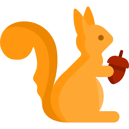 Sản phẩm squirrel — Công Ty TNHH Sản Xuất Thương Mại May Sóc Vàng — MST 0316659078