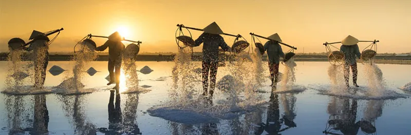 Sản phẩm slide 2801 — Muối Hưng Thịnh - Công Ty Trách Nhiệm Hữu Hạn Sản Xuất Thương Mại Muối Hưng
Thịnh — MST 0316660884