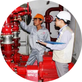 Sản phẩm layer 4410 9486 — Công Ty TNHH Thương Mại Xuất Nhập Khẩu Sông Xanh — MST 0316675390