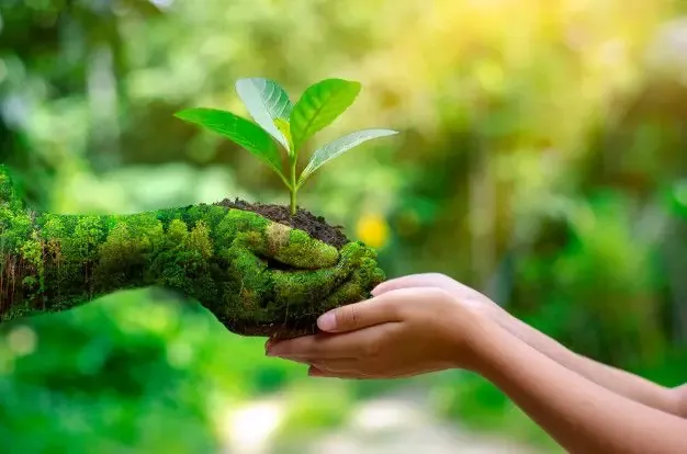 Sản phẩm environment earth day hands trees growing seedlings_34998 113_da961faac3 — Hóa Chất Công Nghiệp Thuận Tiến Thành - Công Ty TNHH Thương Mại Xuất Nhập Khẩu
Thuận Tiến Thành — MST 0316682172