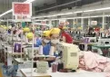 Sản phẩm 16321243267274 163220723260617606523 6506 — Công Ty TNHH Van Đăng Thành — MST 0316703150