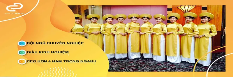 Sản phẩm thue pg thoi vu — Công Ty TNHH TM DV Tổng Hợp Phát Đạt — MST 0316719295