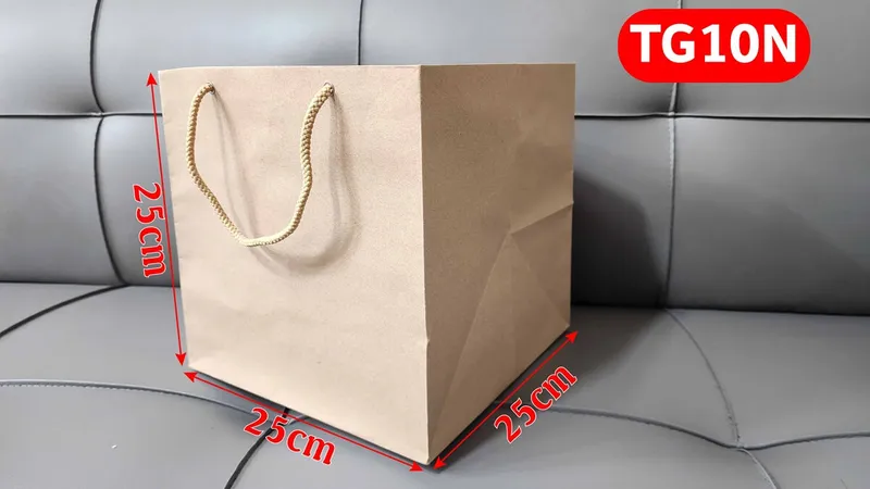 Sản phẩm TG10N2 — Túi Giấy IPS - Công Ty TNHH Sản Xuất Thương Mại IPS — MST 0316719591
