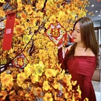Sản phẩm chi le phuong thao 1azvu82r — Nhà Việt Nhật - Công Ty TNHH Dịch Vụ Xây Dựng Công Nghệ Và An Toàn Anzentech — MST 0316731133