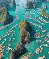 Sản phẩm hai phong — Công Ty TNHH Minh Hồng Võ — MST 0316735473