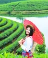 Sản phẩm vinh — Công Ty TNHH Minh Hồng Võ — MST 0316735473