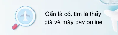Sản phẩm can la co tim la thay ve may bay gia re — Công Ty TNHH Minh Hồng Võ — MST 0316735473