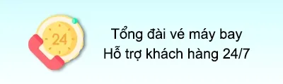 Sản phẩm tong dai ve may bay 247 1 — Công Ty TNHH Minh Hồng Võ — MST 0316735473