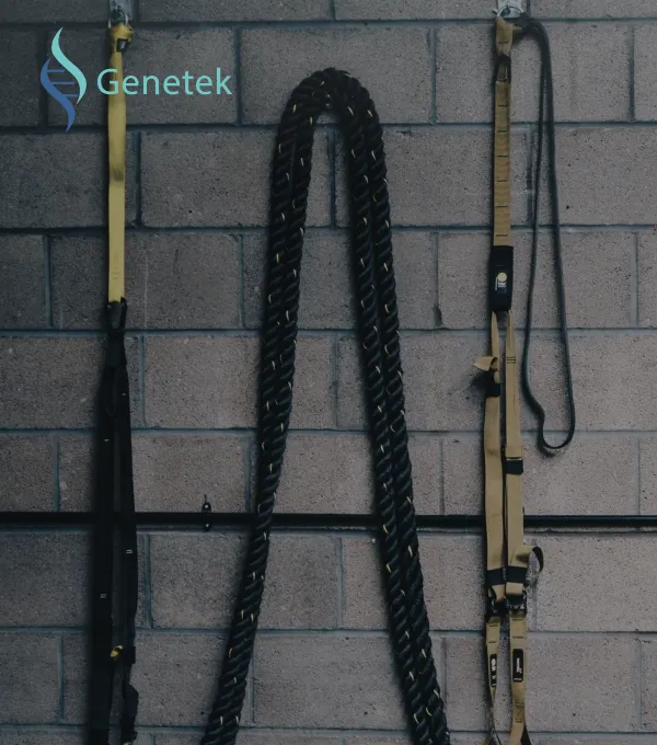 Sản phẩm gene1 600x680 — Công Ty TNHH Thương Mại Dịch Vụ Công Nghệ NEO — MST 0316748419