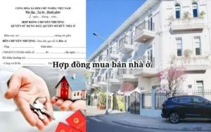 Sản phẩm Mau hop dong mua ban nha o chi tiet 1 300x188 — Công Ty Luật TNHH MTV Kiến Việt — MST 0316748955